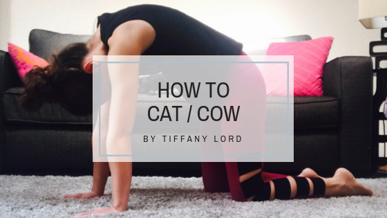 Love Your Asana: Cat/Cow