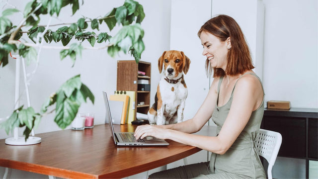 employee wellness workshops from Love and Asana